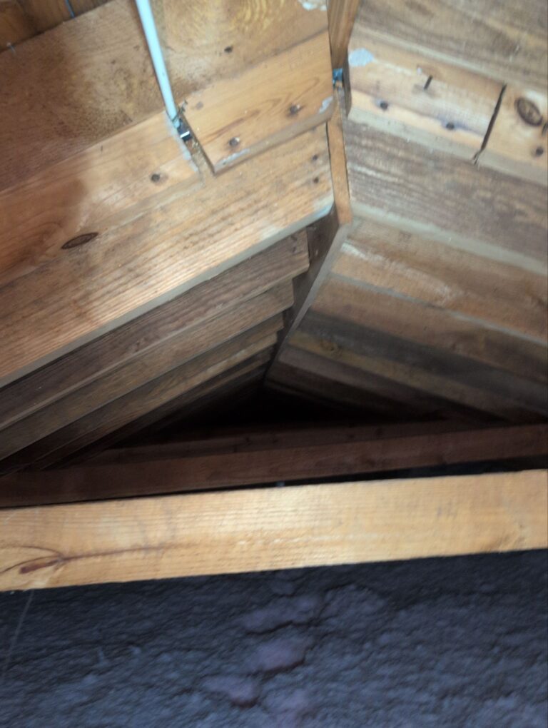 Roof framing