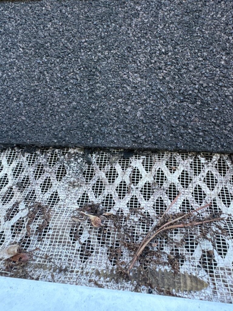 roof damage by weather